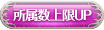 所持数上限UP
