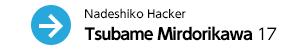 Nadeshiko Hacker / Tsubame Mirdorikawa 17